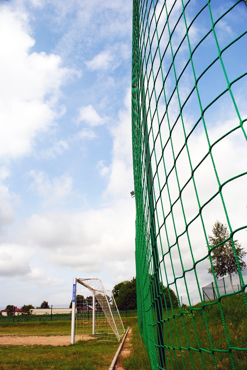靈活性 靈活性